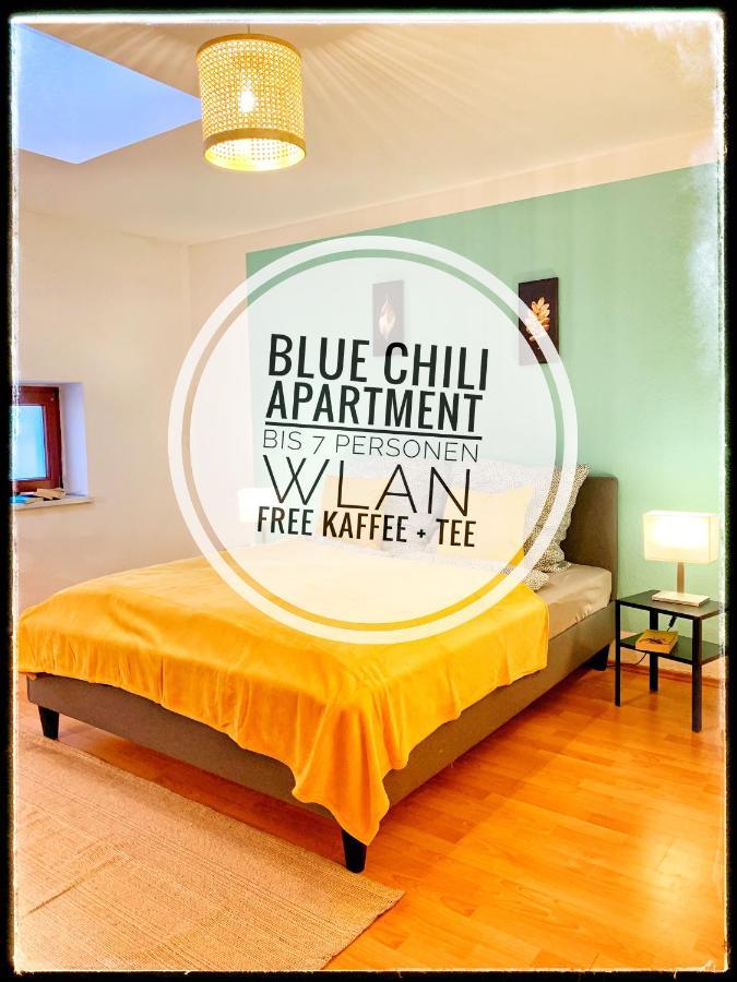 Blue Chili 21-4 - 3 Schlafzimmer - 7 Betten - Wlan - Balkon Magdeburk Exteriér fotografie